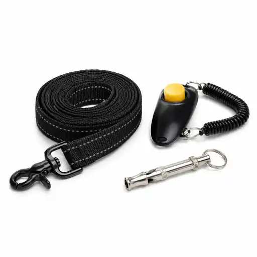 Dog training equipment