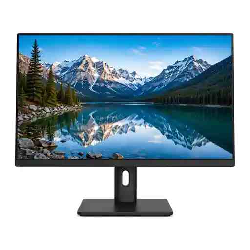 Monitory