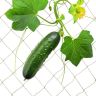 Garden trellis "Mesh" 300x400cm., light brown