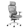 Fotel biurowy Mark Adler Visioner 6.1 z masażerem, szary, 60 × 35 × 74 cm