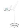 Magnifying LED lamp ELEGANTE 6027, 60 LED