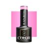 Gel polish OCHO NAILS RAINBOW R05