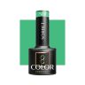 Lakier żelowy OCHO NAILS SORBET S02