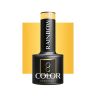 Hybrid polish OCHO NAILS RAINBOW R01