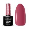 Гибридный лак для ногтей CLARESA Dusty Rose 5