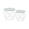 Set of 2 transparent coffee tables, white