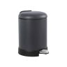 Trash can with gray plastic inner box