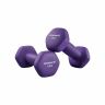 Dumbbell set 2 x 1 kg, purple