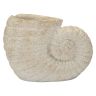 Wazon Muszla Piasek A, 33 × 23 × 19 cm