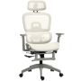 Office chair, with footrest, 64 × 66 × 114–122 cm