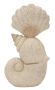 Decorative shell sculpture, 17.2 × 30.2 × 10 cm