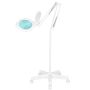 Magnifying LED lamp GLOW MOONLIGHT 8013/6