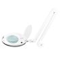 Magnifying lamp ELEGANTE 6027, 60 LED SMD 5D, 10 W