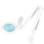 Lampa stołowa z lupą GLOW MOONLIGHT 8013/6, 5D