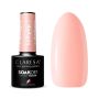 Gel polish CLARESA LOLLIPOP 2