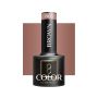 Gel nail polish OCHO NAILS