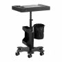 Beauty salon trolley ASYSTOR PRO INK 716C, 3 tool holders