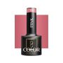 Hybrid gel nail polish OCHO NAILS 316