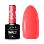 Hybrid nail polish CLARESA FLUO 6