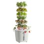 Hydroponic tower VEVOR VV1-6C-EU, 6 tiers, 30 capsules, White, 35 × 87 × 35 cm