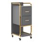 Hairdresser's assistant Gabbiano Solo, 2 drawers
