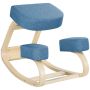 Kneeling chair, Reclining, Blue, 51 × 58 × 69 cm