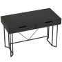 Computer desk, 2 drawers, 120 × 60 × 77 cm