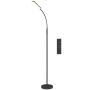 LED floor lamp, 5 lighting modes, Black, Ø22 × 175 cm