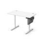 Electric height-adjustable desk 60x110x120cm., white/gray