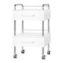 Pedicure stand ActiveShop, 2 drawers, White