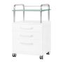 Pedicure stand ACTIVESHOP, 3 drawers, White