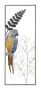 Wall panel Parrot, 28.6 × 74.3 × 2.5 cm