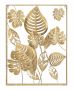 Настенная декоративная панель Mauro Ferretti Jungle Ret, прямоугольная, Золотая, 60 × 80 × 6,5 см