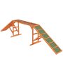 Dog agility bridge PawHut 325x55x69cm., various colors