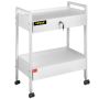Laboratory stainless steel trolley, 2 tiers, 2 drawers, white