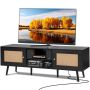 Stojak pod TV rattanowy 65" z drzwiami, USB, czarny