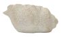 Wazon Muszla Piasek B, 35 × 18 × 23 cm