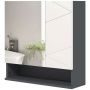Mirrored bathroom cabinet with adjustable shelves, dark grey, 55x17x55 cm