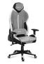 Fotel gamingowy HUZARO FORCE 7.9 Szary