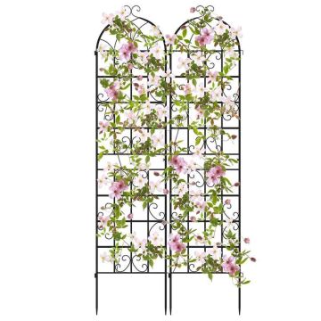 Set of 2 plant supports 220x50cm., black
