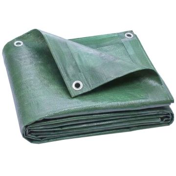 Tarpaulin, 20 eyelets, Green, 600 × 400 cm