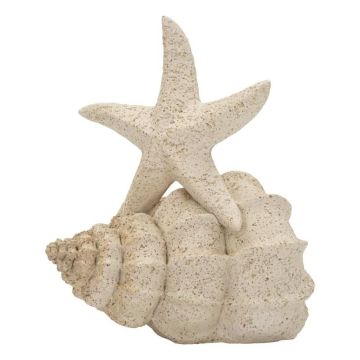 Decorative composition of a shell and a starfish, 18 × 21.2 × 13 cm