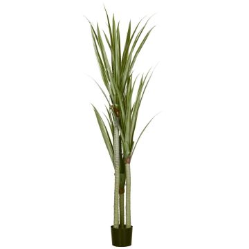 Artificial yucca, Green, Ø17 × 190 cm