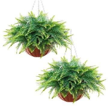 Artificial Boston fern VEVOR JN-DL-15, 2 pcs, 540 × 540 × 430 mm