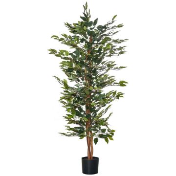 Artificial ficus, 1008 leaves, Green, Ø60 × 150 cm