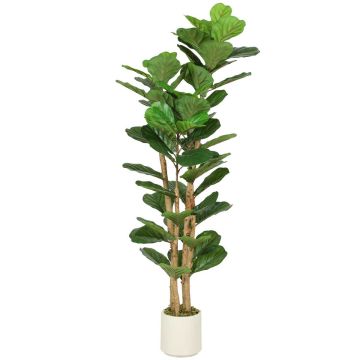 Artificial ficus, Green