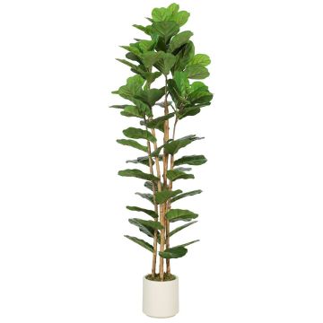 Artificial fiddle leaf fig tree, 55 × 180 × 55 cm