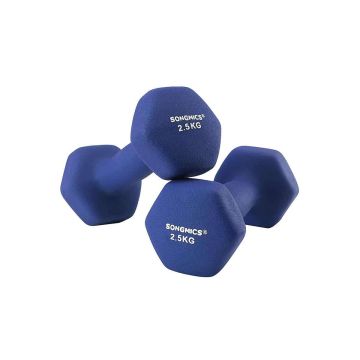 Dumbbell set 2x2.5 kg, blue