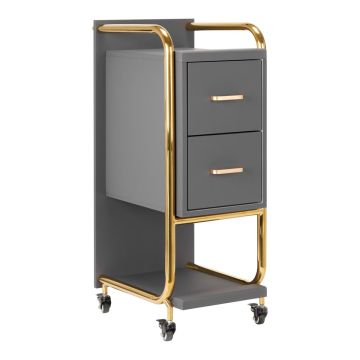 Hairdresser's assistant Gabbiano Solo, 2 drawers