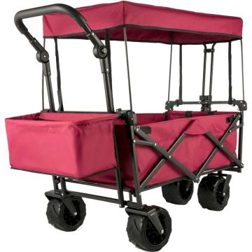 Foldable outdoor stroller with removable canopy and large wheels, 220 lb capacity
